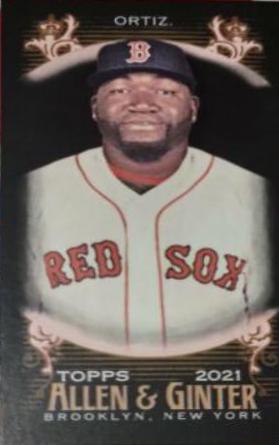 David Ortiz [Mini Black] #19