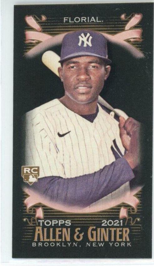 Estevan Florial [Mini Black] #268