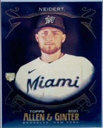 Nick Neidert [Mini Black] #300