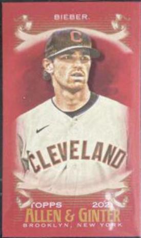 Shane Bieber [Mini Red] #66