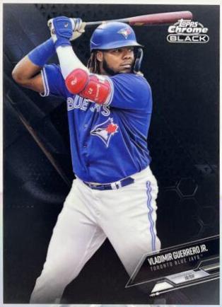 Vladimir Guerrero Jr. #69