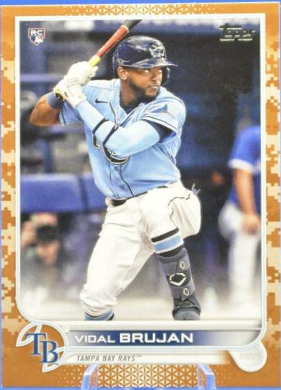 Vidal Brujan [Memorial Day Camo] #25