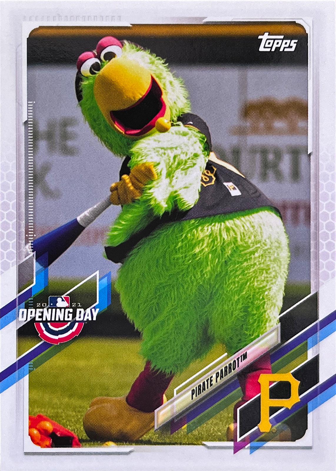 Pirate Parrot #M-13
