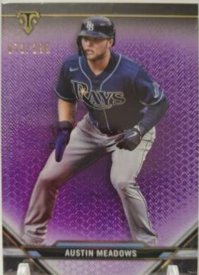 Austin Meadows [Amethyst] #45