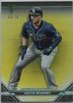 Austin Meadows [Citrine] #45