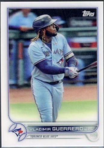 Vladimir Guerrero Jr. #300
