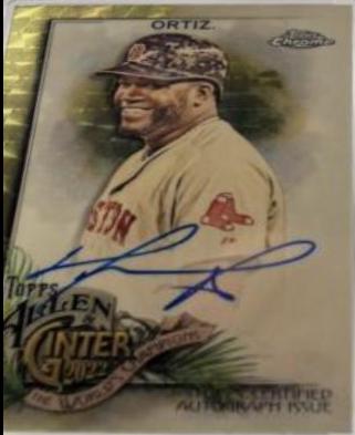 David Ortiz #AGA-DO