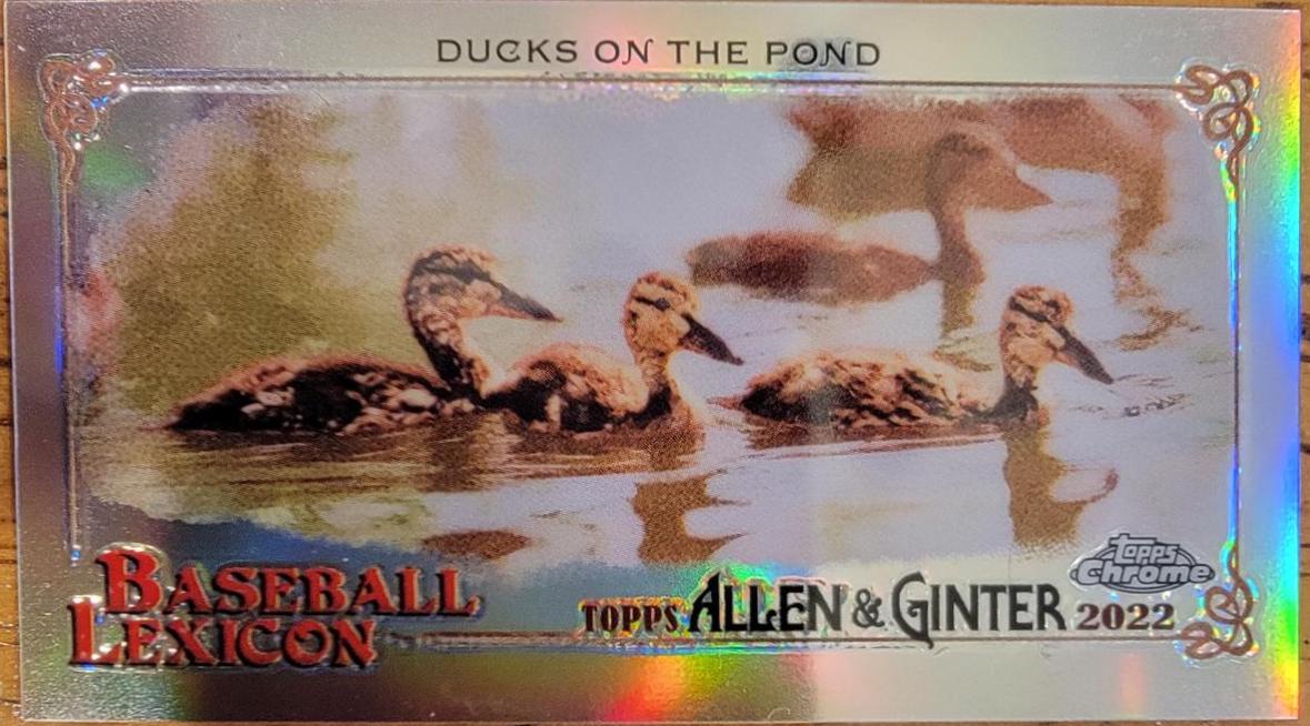 Ducks On The Pond #BL-2
