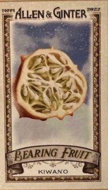 Kiwano #BF-6