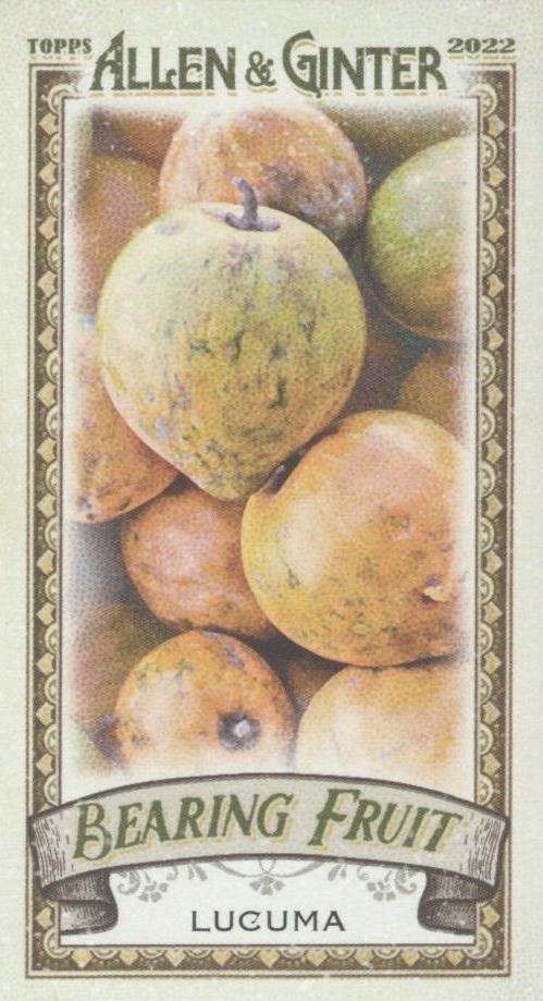 Lucuma #BF-1