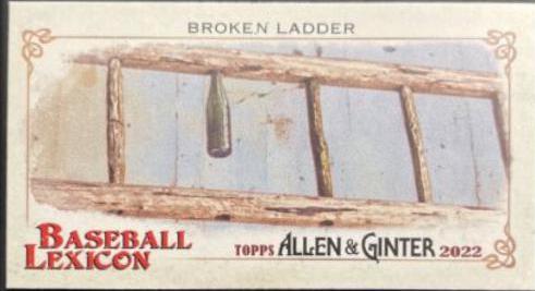 Broken Ladder #BL-4