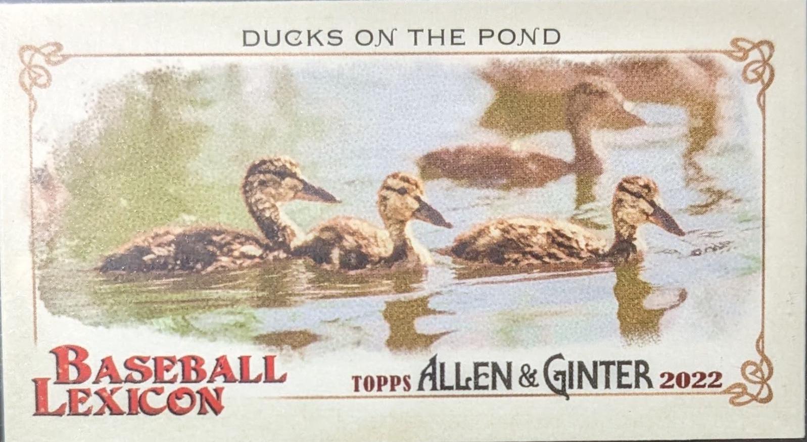Ducks On The Pond #BL-2
