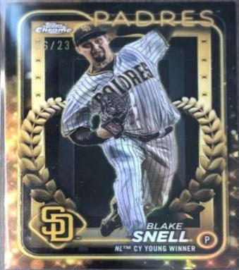 Blake Snell [Award Winner Variation] #218