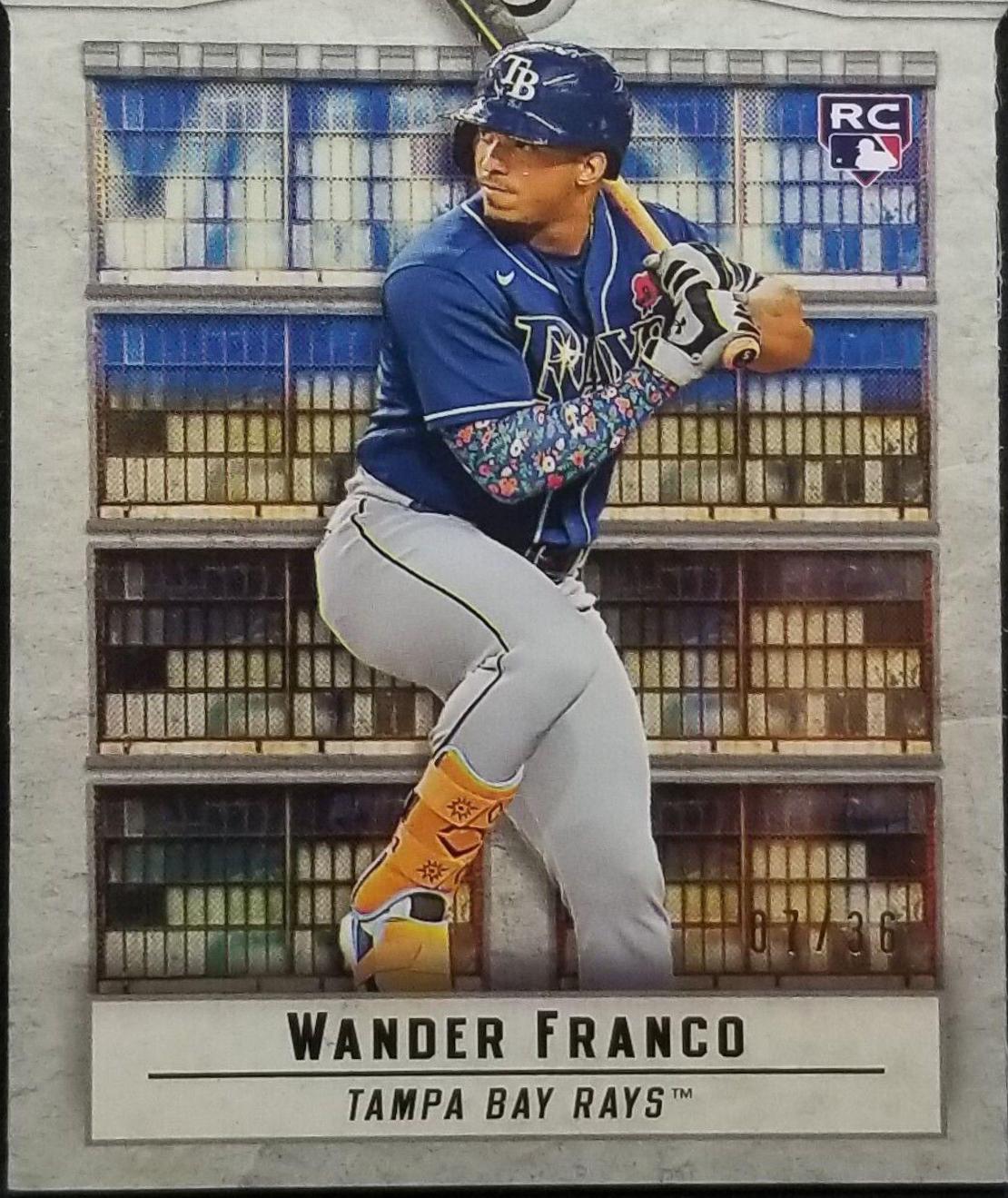 Wander Franco [Bush Terminal Die-Cut] #37