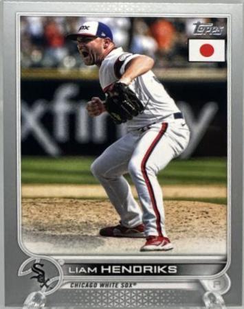 Liam Hendriks #119