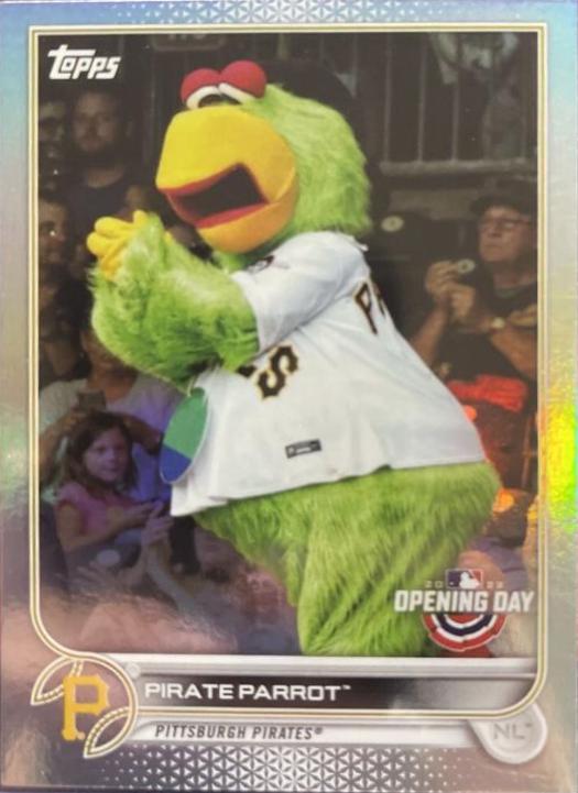 Pirate Parrot [Rainbow Foil] #M-17