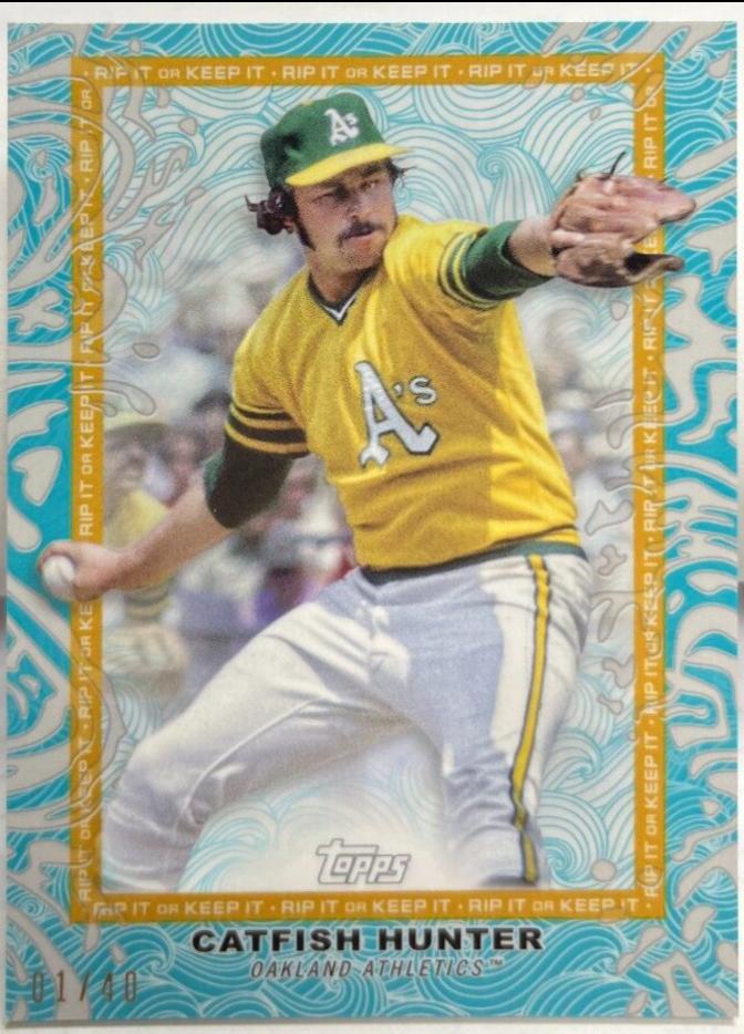 Catfish Hunter [Aqua] #82