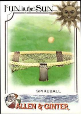 Spikeball #FITS-1
