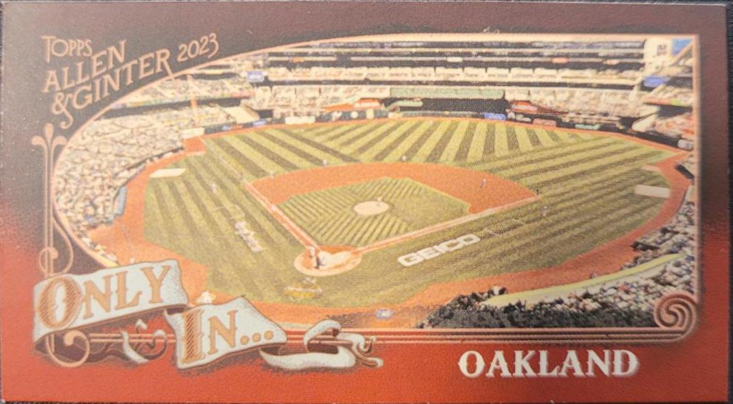Most foul territory in Major League Baseball. #OI-20