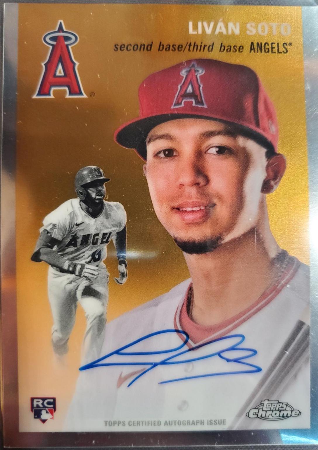 Livan Soto #CPA-LSO