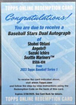 Shohei Ohtani, Ichiro #BSDA-IOH