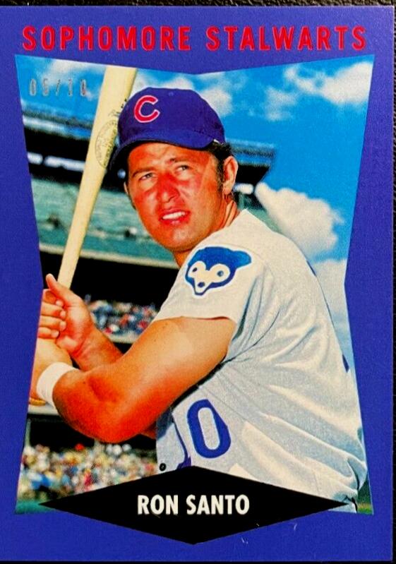 Ron Santo [Blue] #15