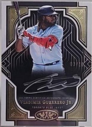 Vladimir Guerrero Jr. [Silver Ink] #T1A-VGU
