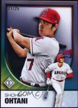 Shohei Ohtani #83