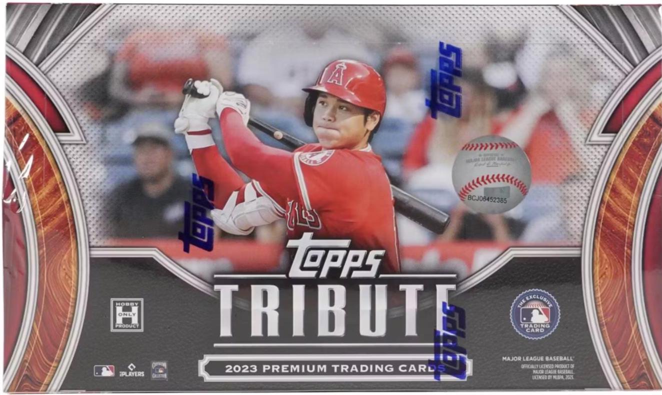Hobby Box