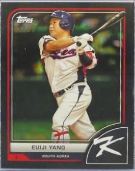 Euiji Yang [Black Difractor] #68