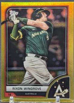 Rixon Wingrove [Gold Rainbow] #76