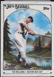 Ted Williams [Titanium White] #12