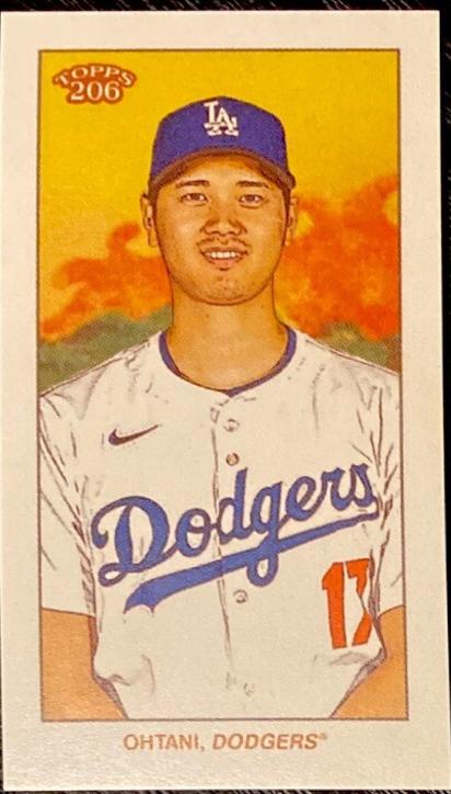 Shohei Ohtani [American Beauty Back]