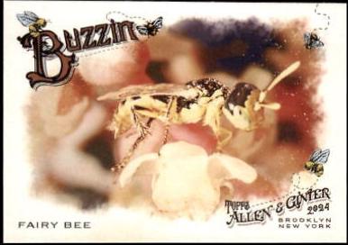 Fairy Bee #BUZ-11
