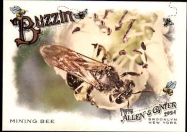 Mining Bee #BUZ-12