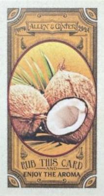 Coconut #GTI-10
