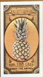 Pineapple #GTI-9