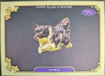 Nimble #SOS-34