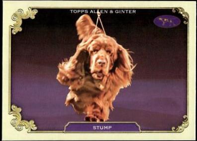 Stump #SOS-22