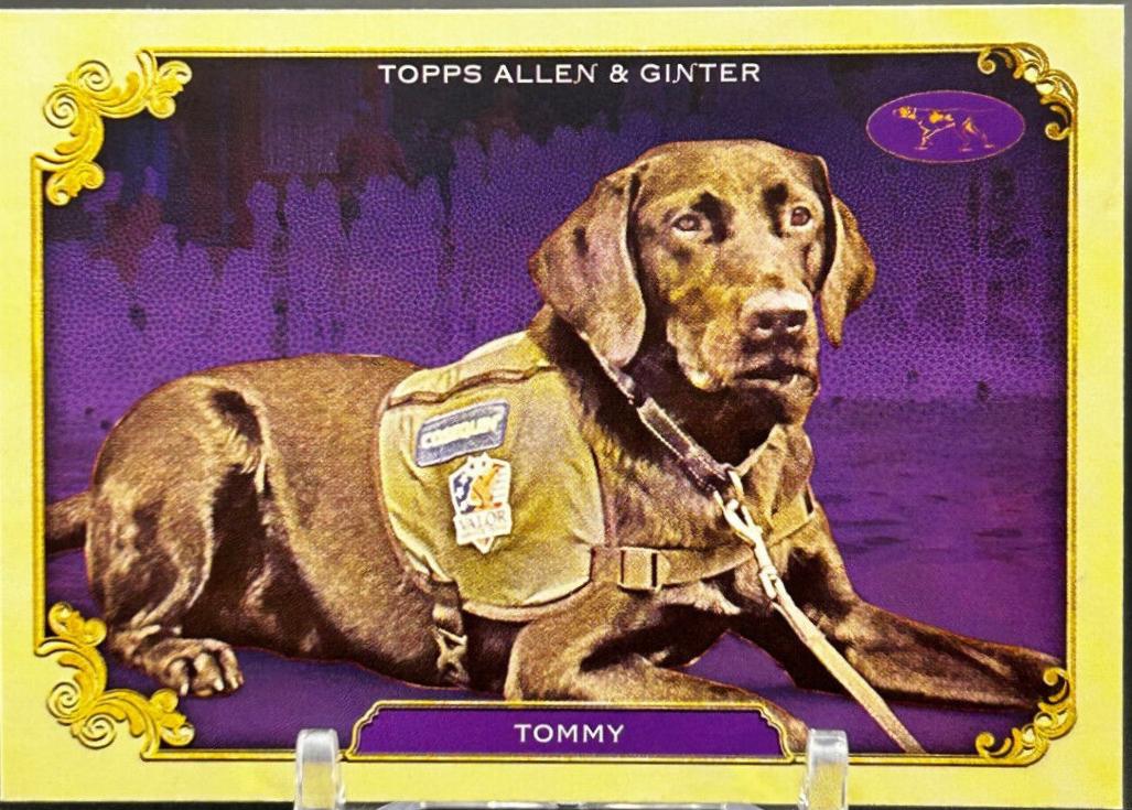 Tommy #SOS-6