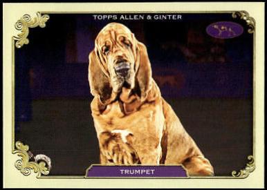 Trumpet #SOS-11