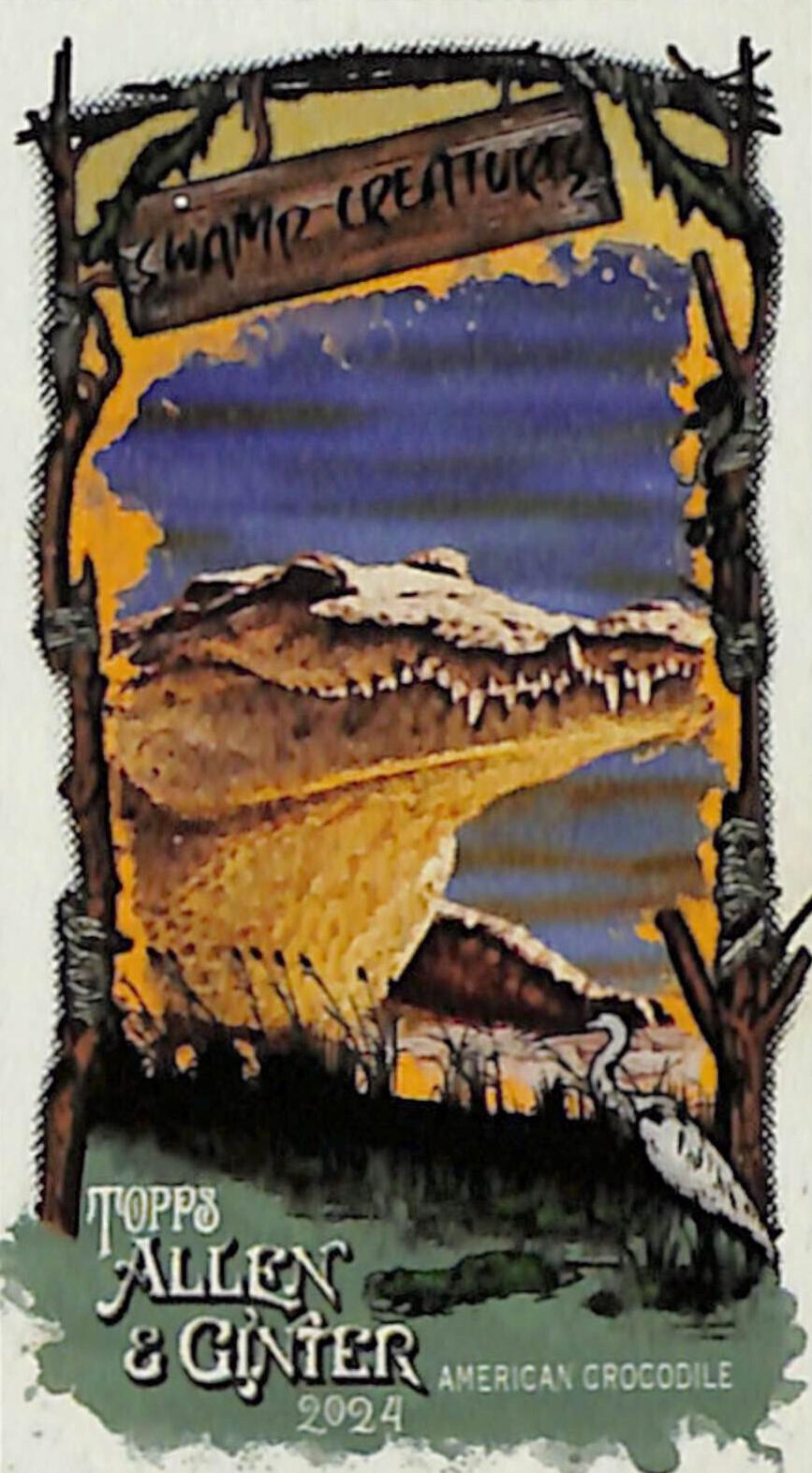 American Crocodile #SC-25