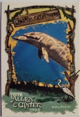 Dolphin #SC-19