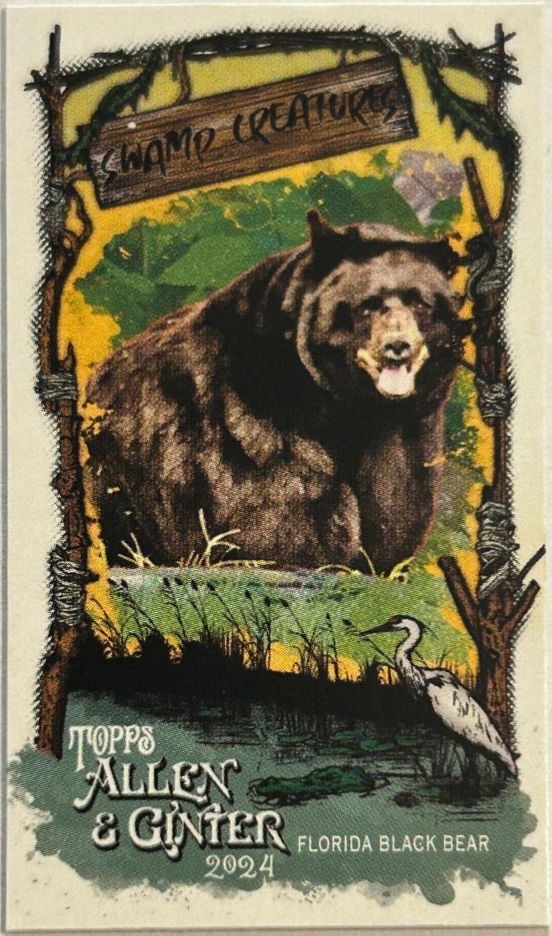 Florida Black Bear #SC-16