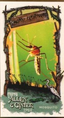 Mosquito #SC-27