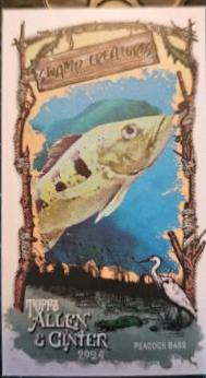 Peacock Bass #SC-23
