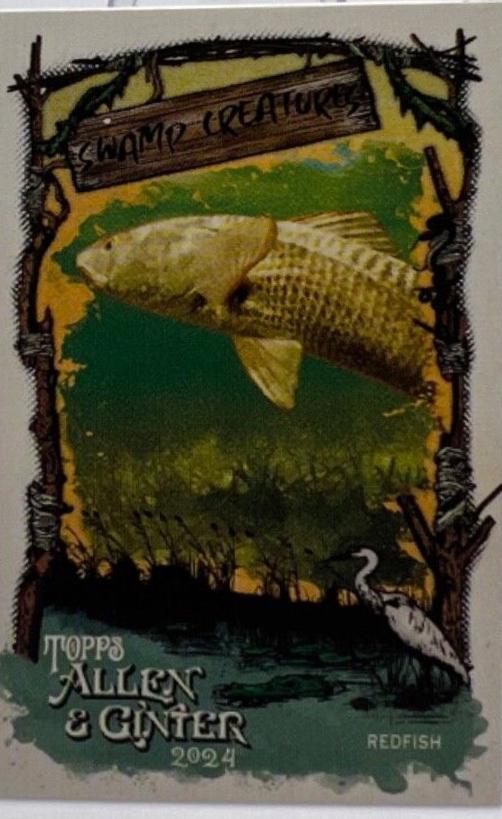 Redfish #SC-20