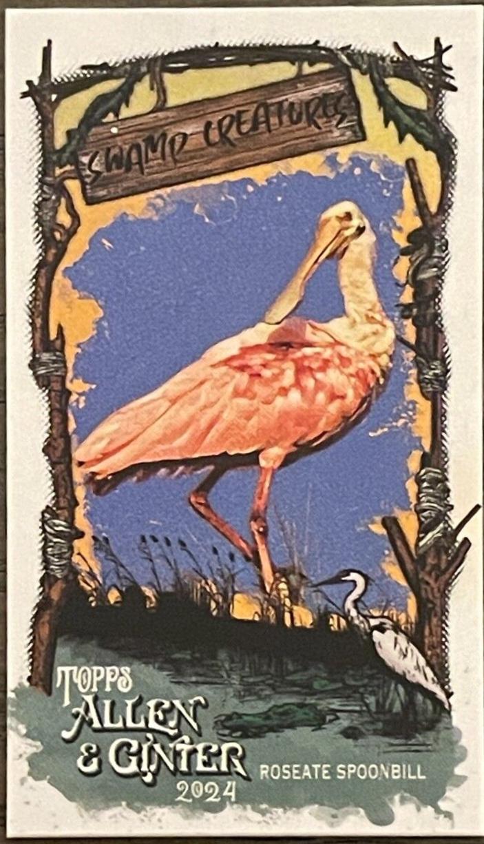 Roseate Spoonbill #SC-3