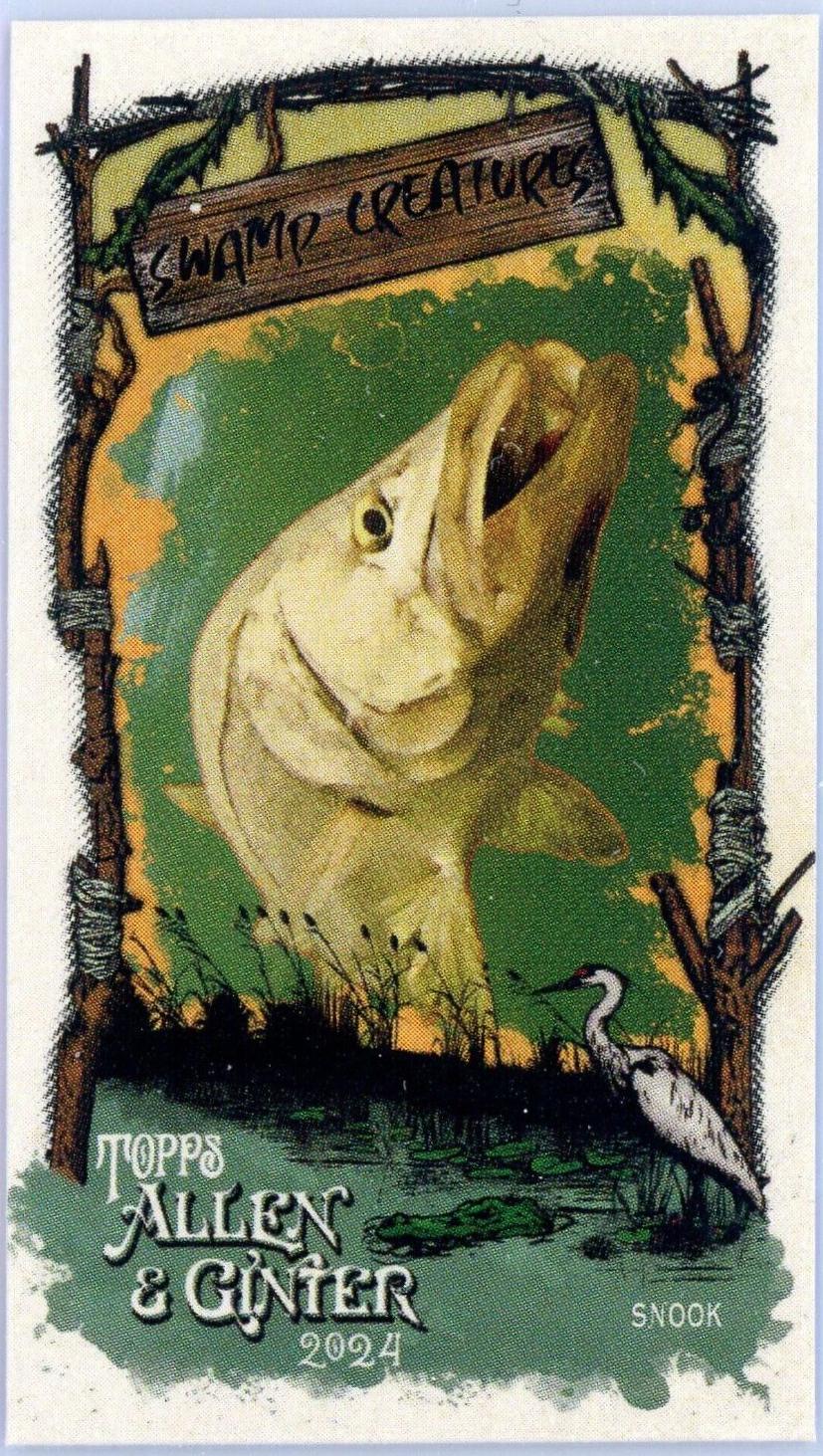 Snook #SC-22