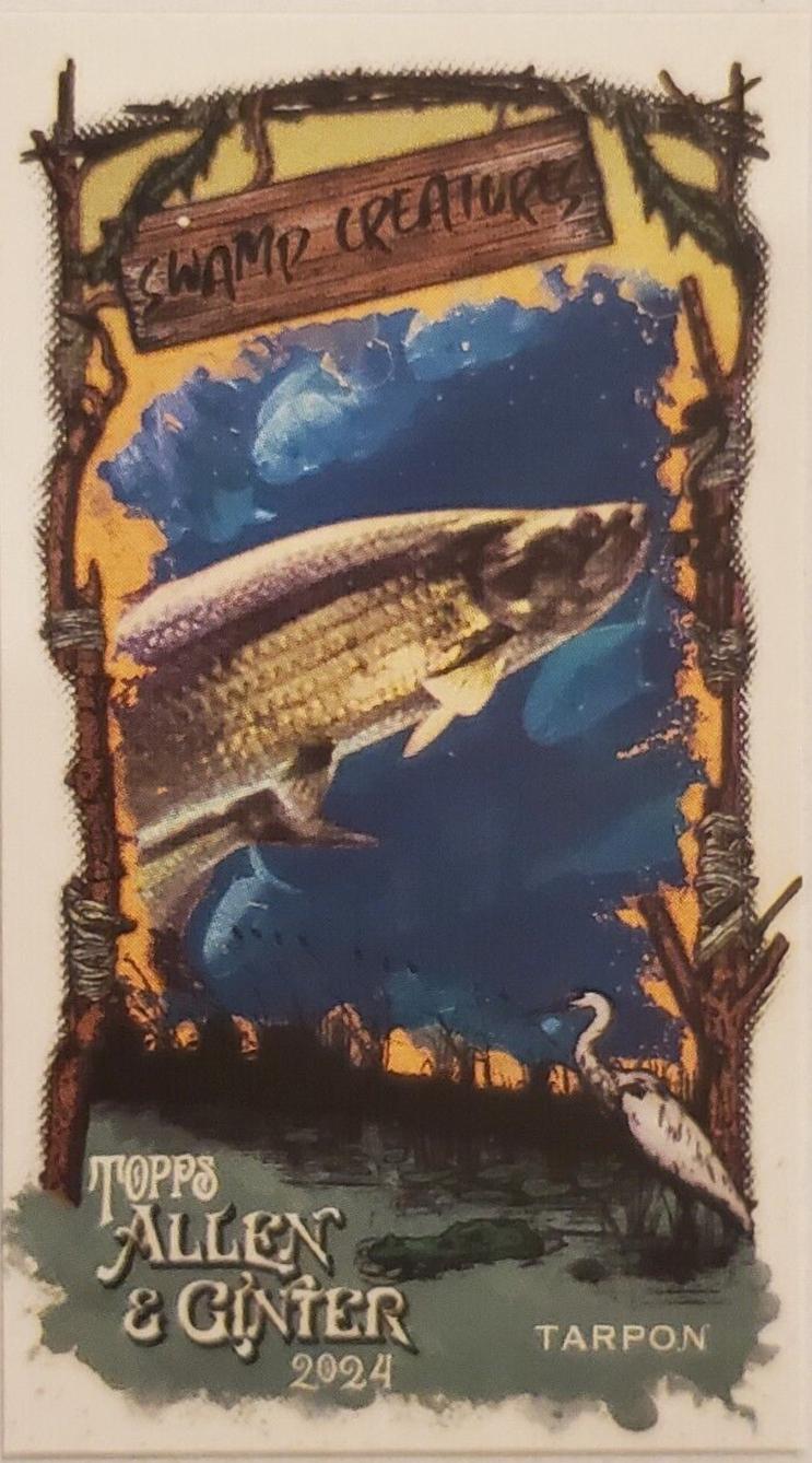 Tarpon #SC-21